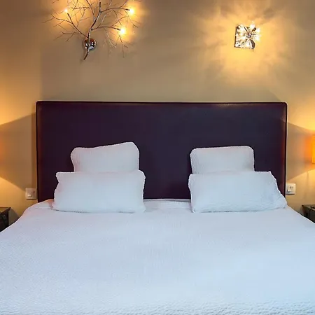 Logis Restaurant Le Faisan Dore 3*